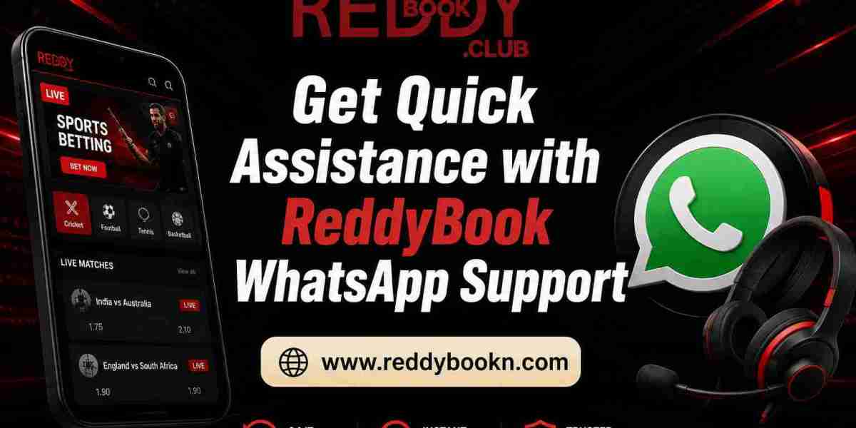 Get Quick Assistance with ReddyBook WhatsApp Support