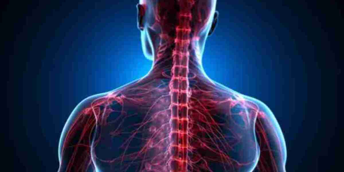 Scoliosis Treatment Centers In Florida