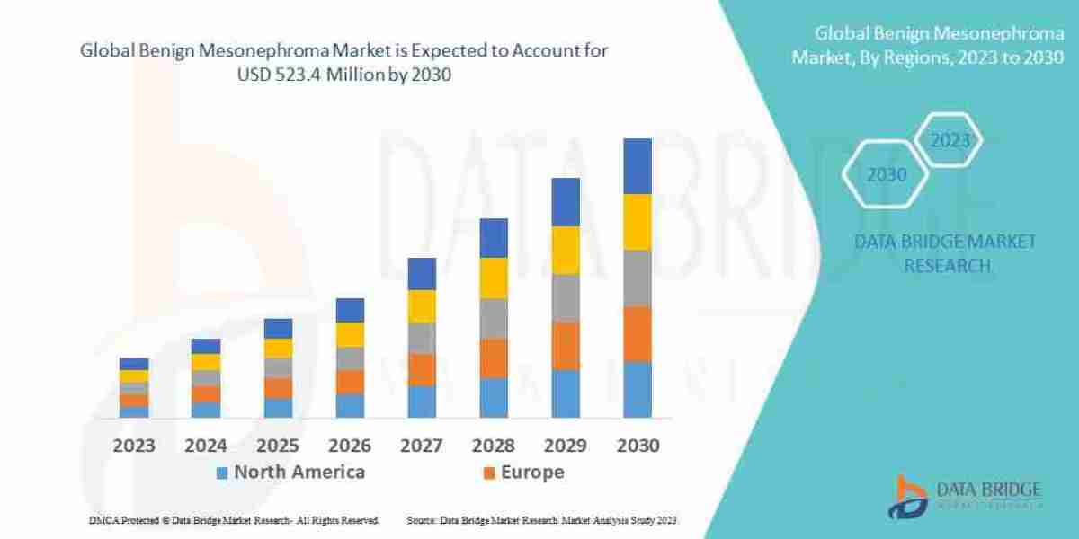 Benign Mesonephroma Market Size, Share, Growth, Trends & Forecast Report, 2025–2032