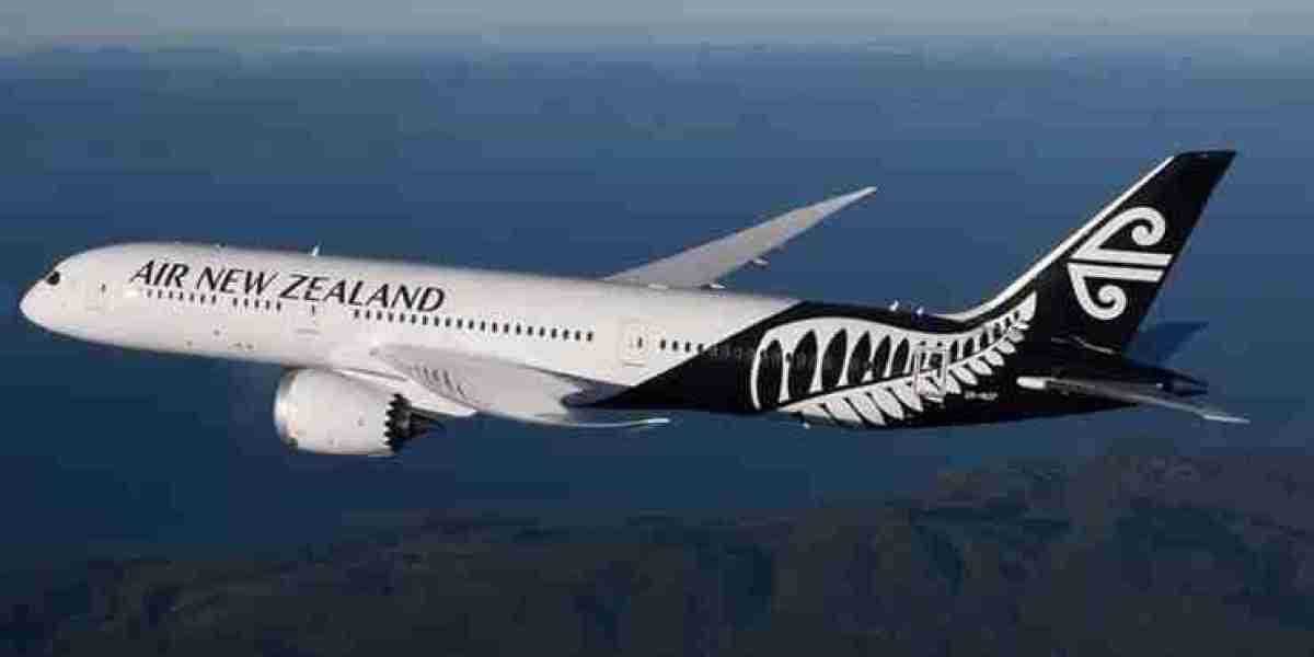 Extension Visitor Visa NZ | Complete Guide to Extending Your Stay