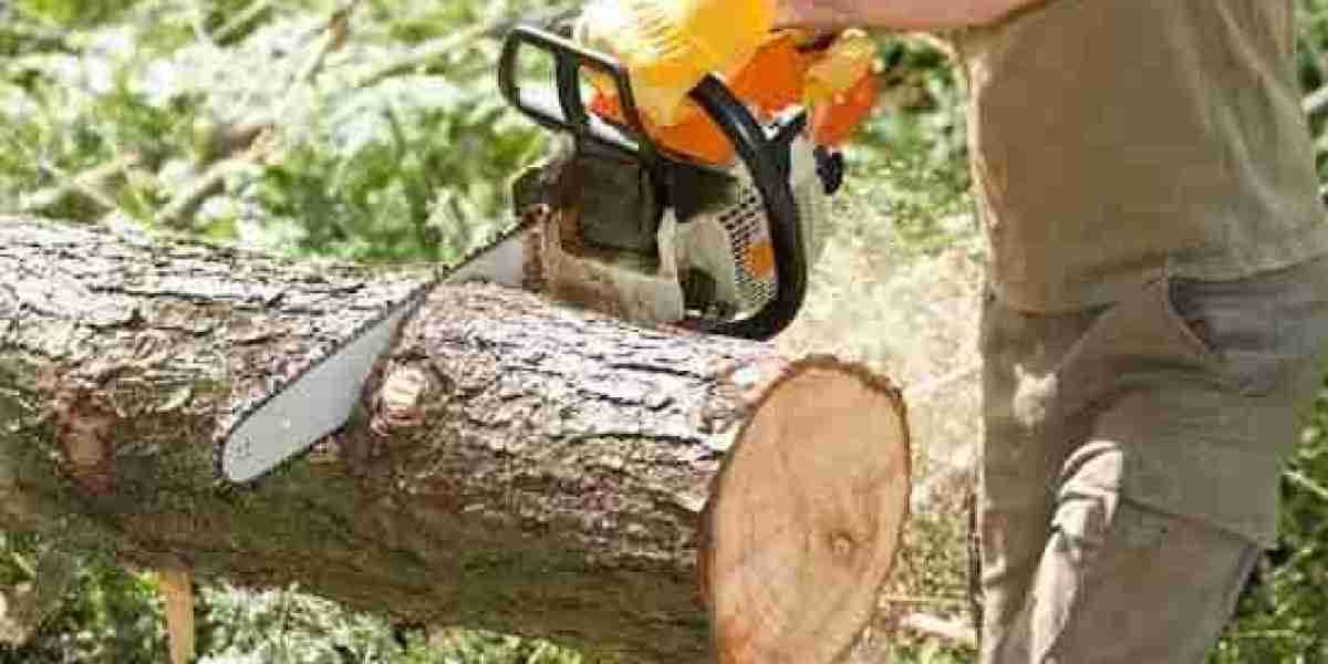 Safe and Efficient Tree Removal in Liberty, MO