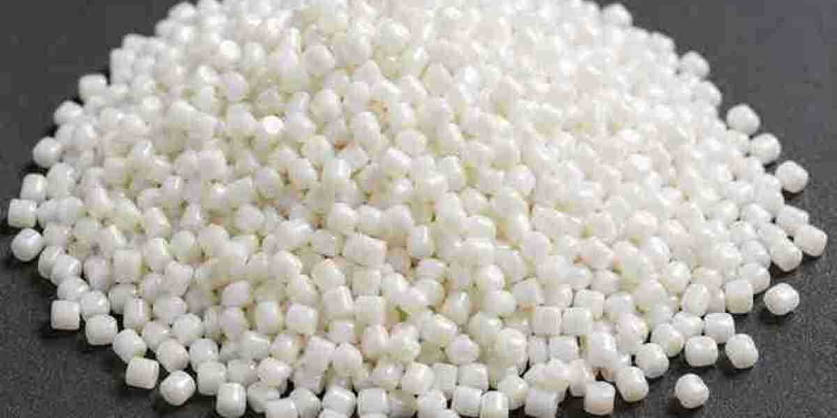 Polybutylene Terephthalate (PBT) Market Overview – Q1 2026