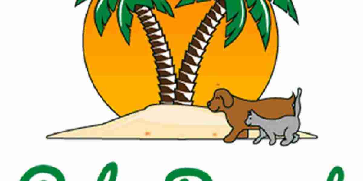 Proactive Approaches to Animal Wellness: Ensuring a Long and Vibrant Life for Your Companion