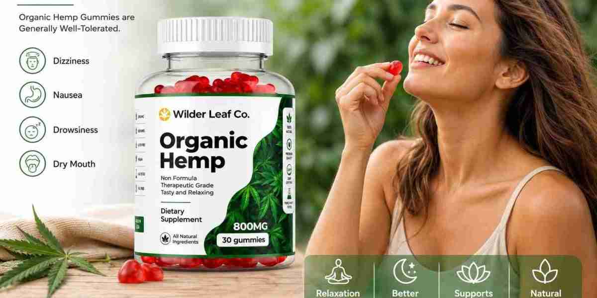 What Are the WilderLeaf Organic Hemp Gummies: A Detailed Look at Their Formula, Benefits, and Everyday Uses