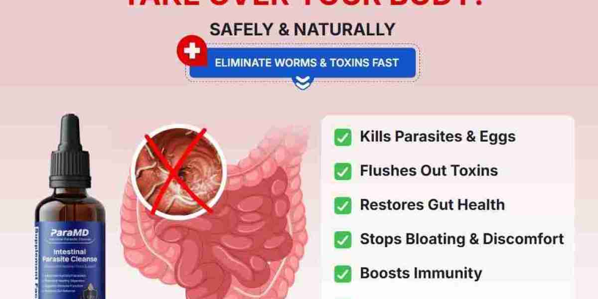From Gut Balance to Daily Wellness: A Comprehensive Guide to Para MD Drops