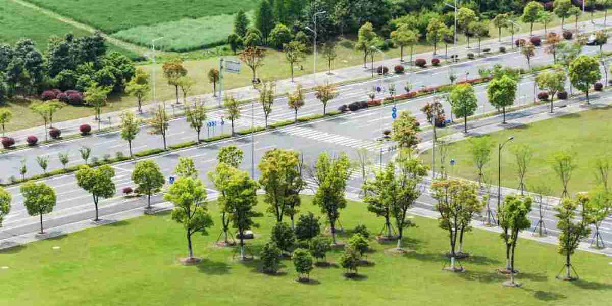 Why Dholera Plot Prices Are Rising: Key Growth Drivers