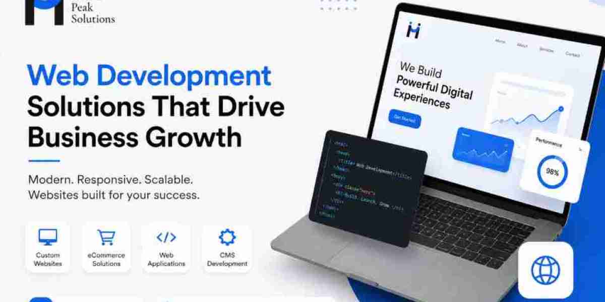 Professional Web Development Company Houston | Maven Peak Solutions