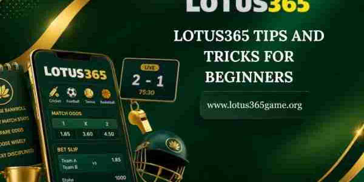 Lotus365 Tips Every New User Should Read First