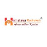 Himalaya Rudraksha