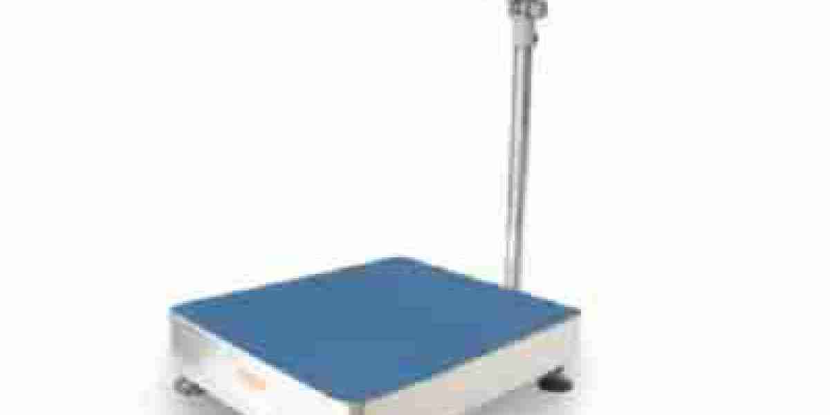 Seafood Weighing Machine: Improve Accuracy and Efficiency in Seafood Processing