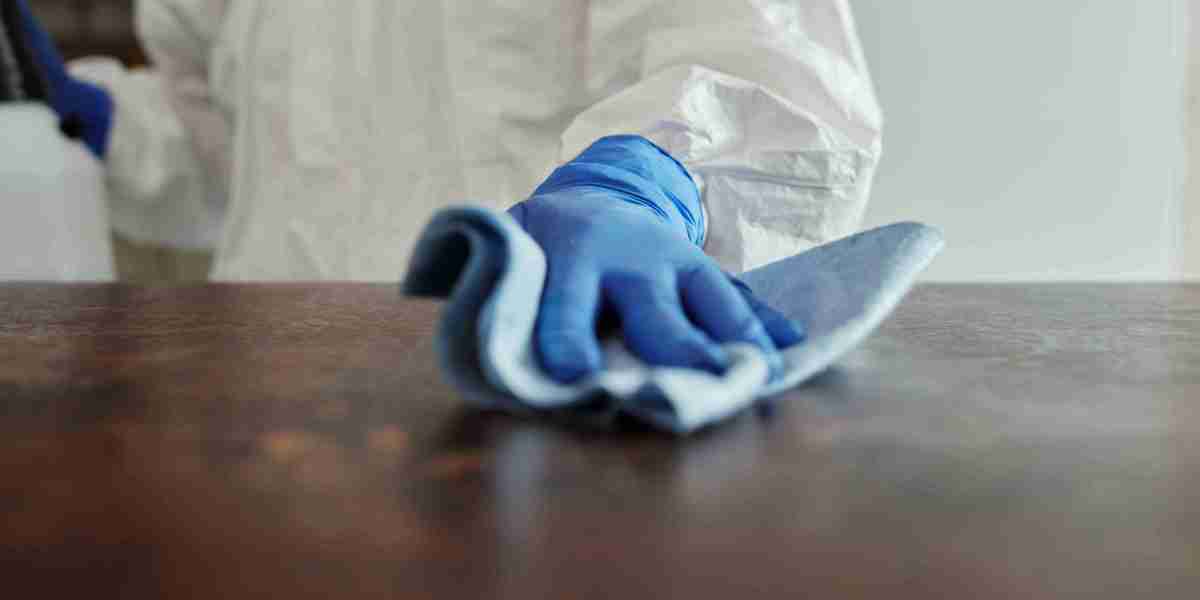 Deep Cleaning Services for Homes and Businesses in Cambridge
