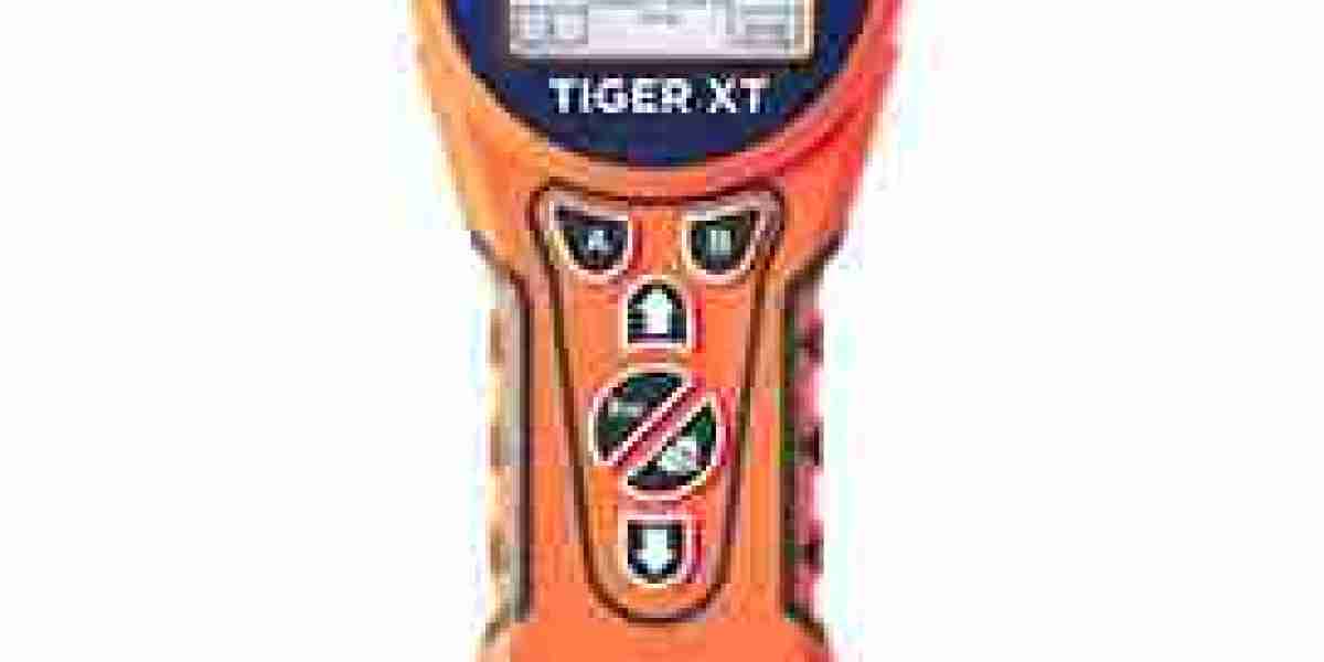 Photoionization Detector Market: Advancing Real-Time Gas Detection and Workplace Safety