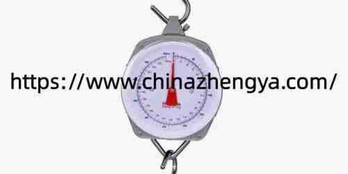 When Should You Review Features of Chinazhengya Mechanical Hanging Scale