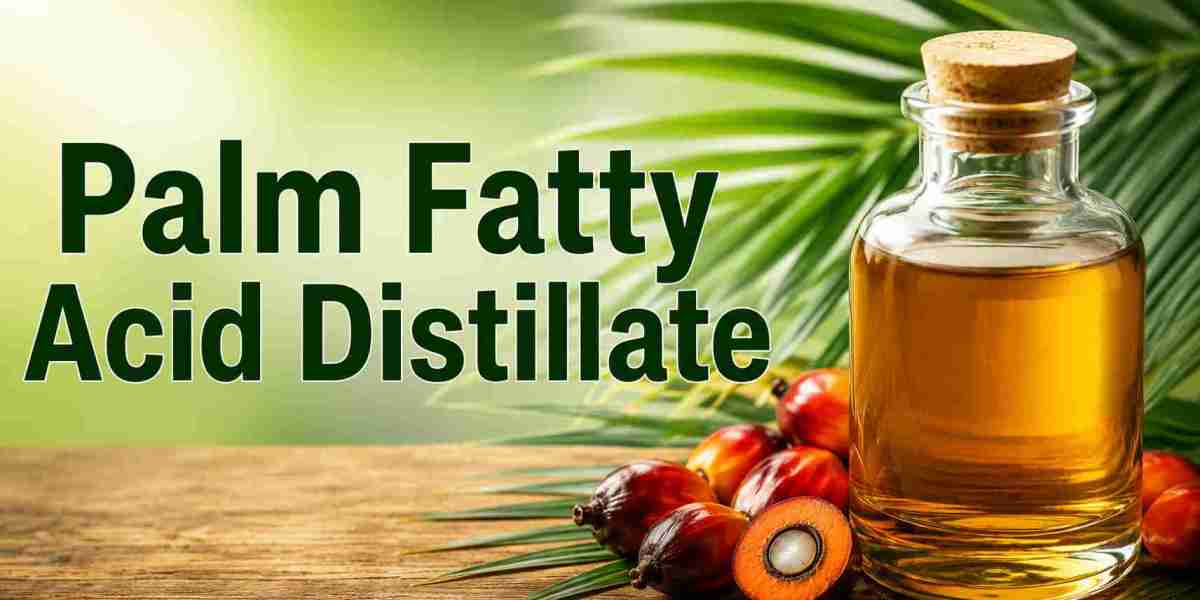 Palm Fatty Acid Distillate Price Trend | Global Market Analysis, Demand Outlook, and Procurement Insights