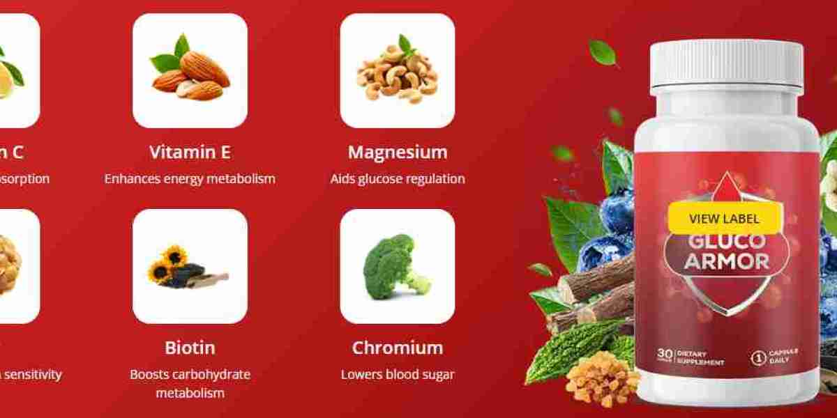 GlucoArmor – A Modern Approach to Daily Glucose Support