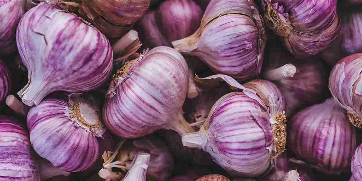 Organic Garlic Cloves: Benefits, Uses, and How to Choose the Best Garlic