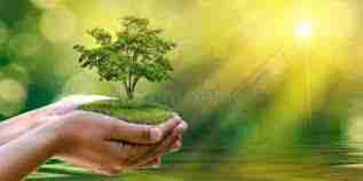 The Wonderful World of Plants: Why They Matter and How to Grow Them