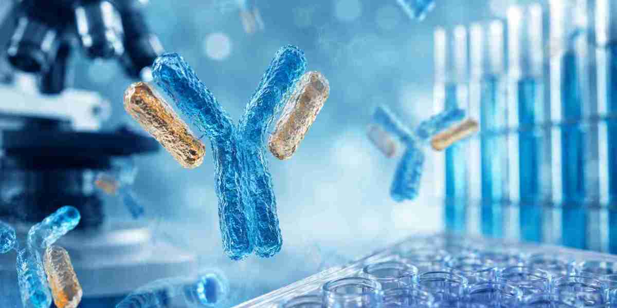Functional Antibodies: How They Work and Why They're Reshaping Biotech