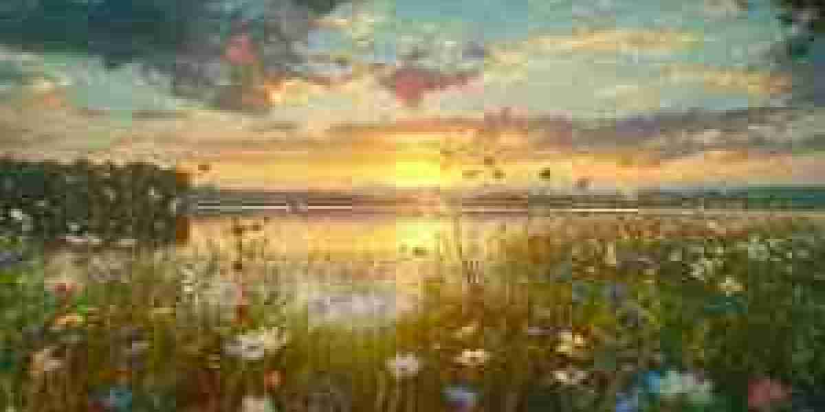 Nature’s Golden Sweetener and Its Many Benefits