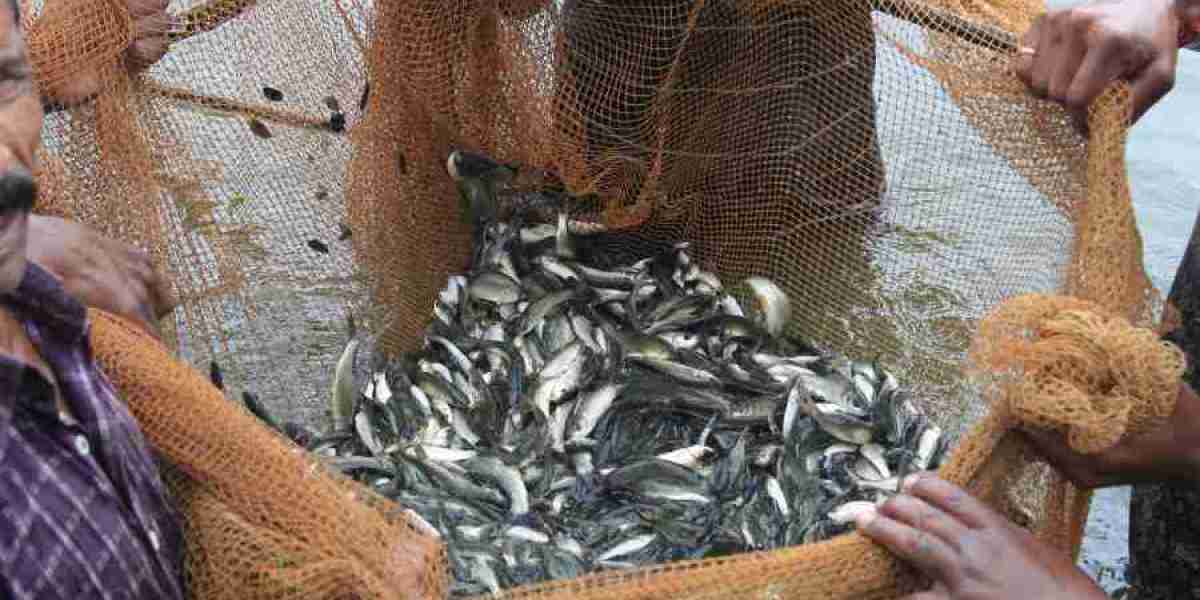 Fish Farming Market Size, Trends and Growth Outlook 2035