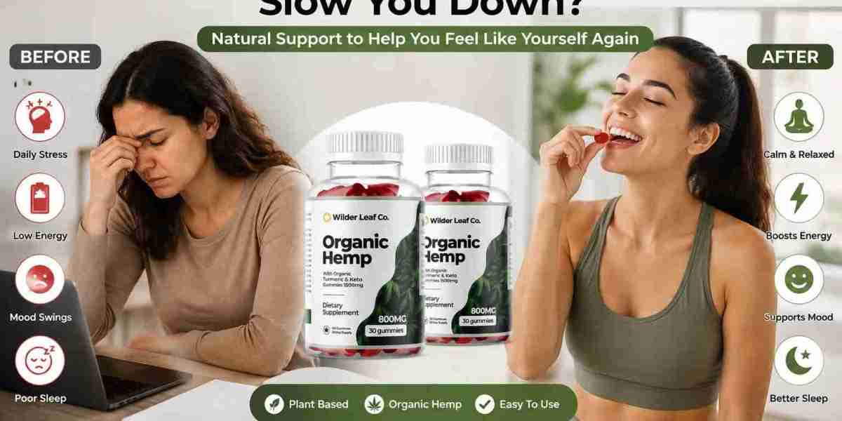 Wilder Leaf Organic Hemp Natural Ingredients, Features, Benefits, and Everyday Uses Explained