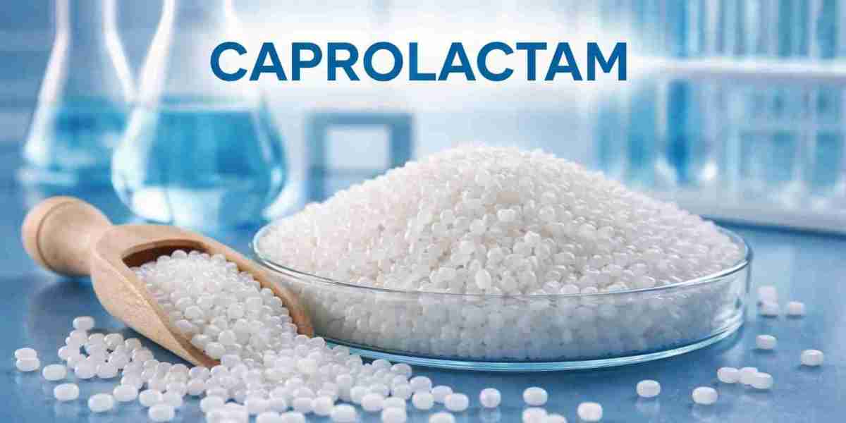 Understanding the Caprolactam Price Trend | Market Insights, Factors, and Future Outlook