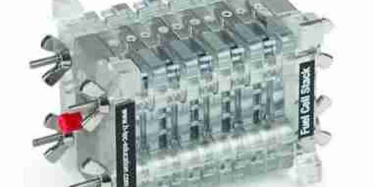 Hydrogen Fuel Cell Stack Components Market Insights: APAC Driving the Hydrogen Economy