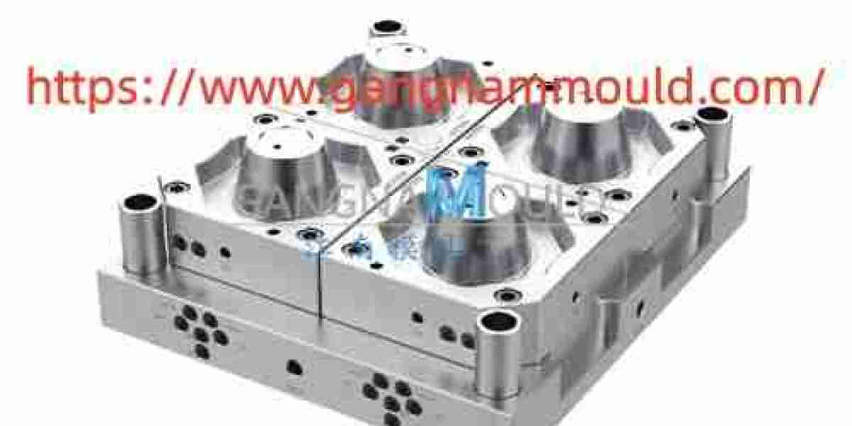 Which Daily Practices Keep Gangnammould Storage Cabinet Mold Reliable