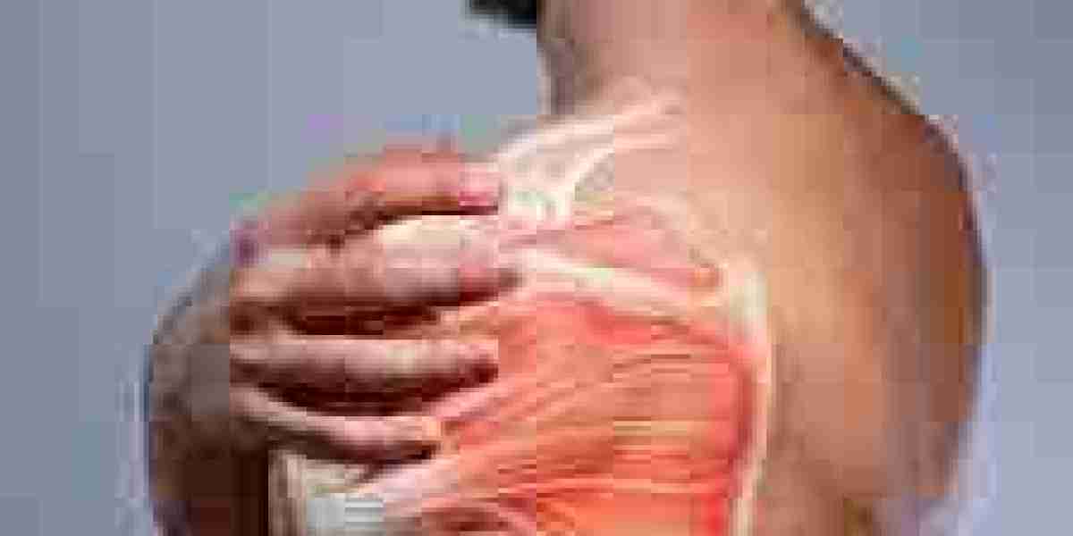 Back Pain Physiotherapy and Shoulder Pain Physiotherapy A Practical Guide to Recovery