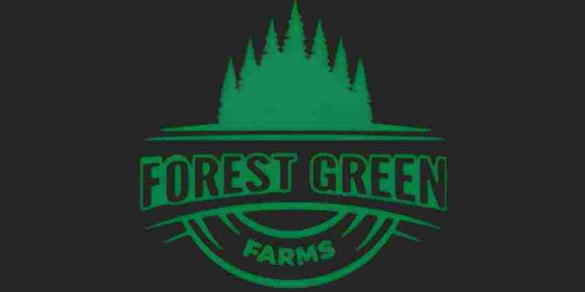 Forest Green Farms CBD Gummies in 2026: Official Website, Pricing, Ordering Options, and Buying Guide