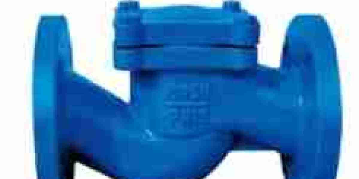 Lift check valve supplier in Dammam