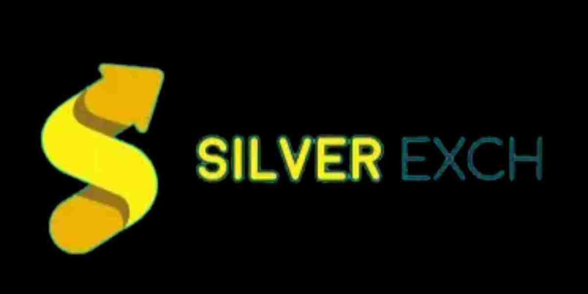 Silverbhai – A Guide to Sports, Casino and Account Features