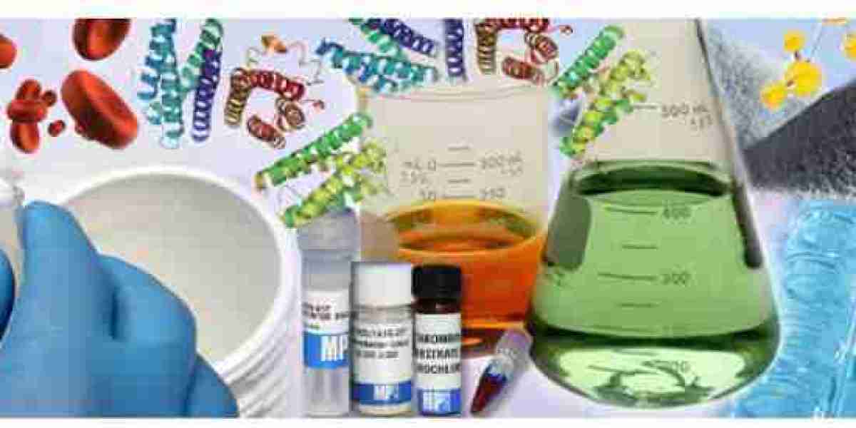 Industrial Enzymes Market: Emerging Trends and Future Growth Opportunities
