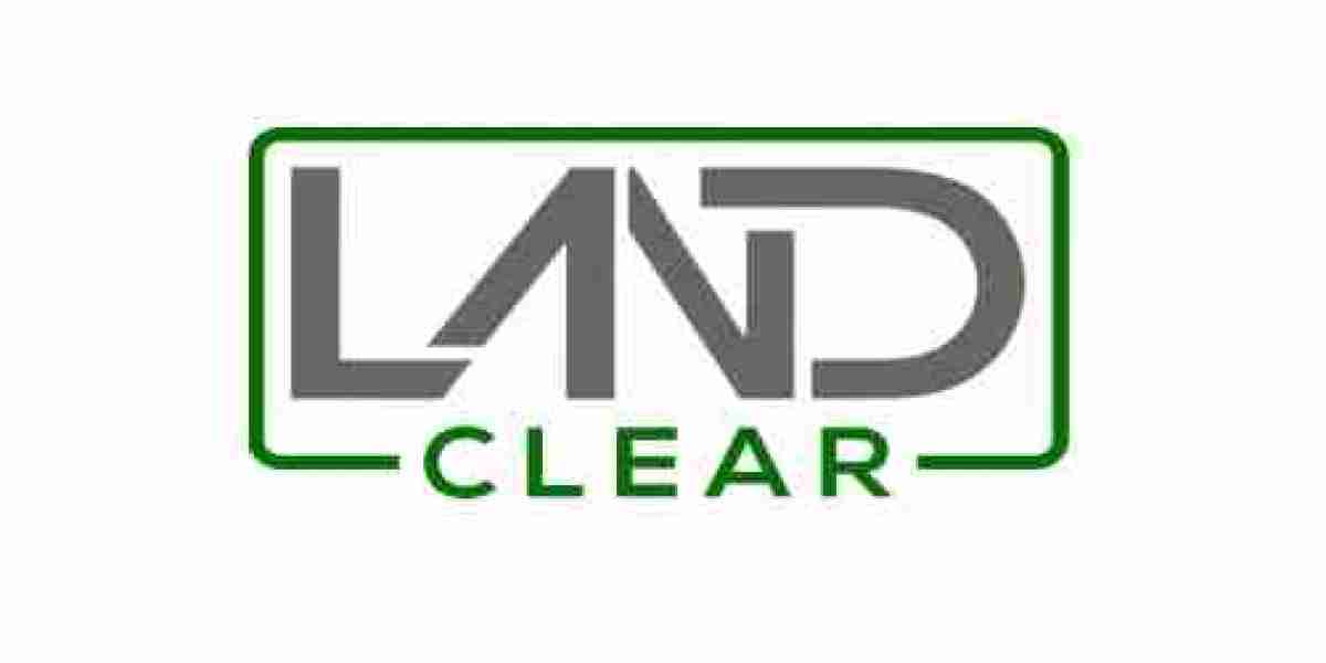 How Can Professional Blackberry Removal Help Restore Your Overgrown Property