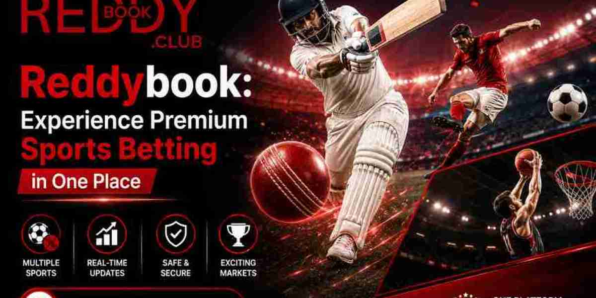 Reddybook: Experience Premium Sports Betting in One Place