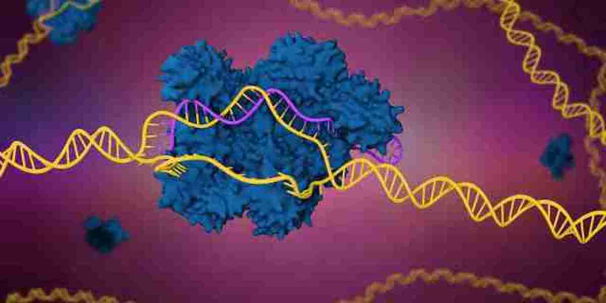 Global Genomics & CRISPR Market Driven by Rising Demand for Personalized Medicine and Genetic Testing