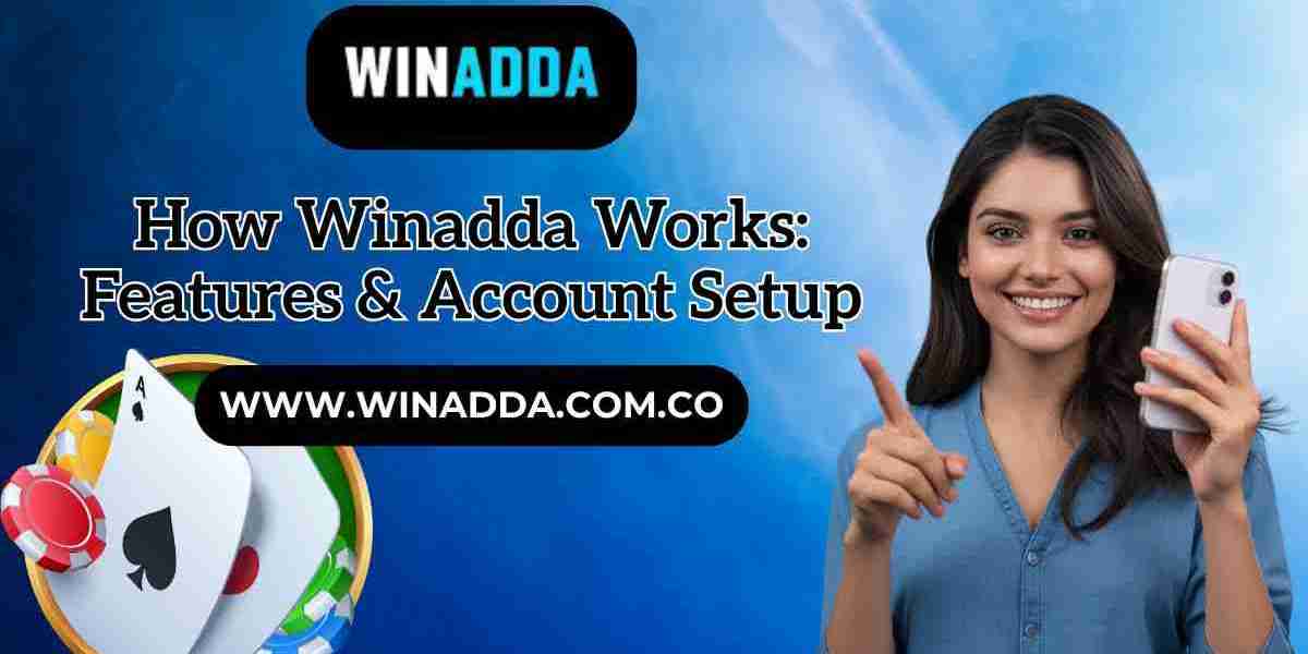How Winadda Works: Features & Account Setup