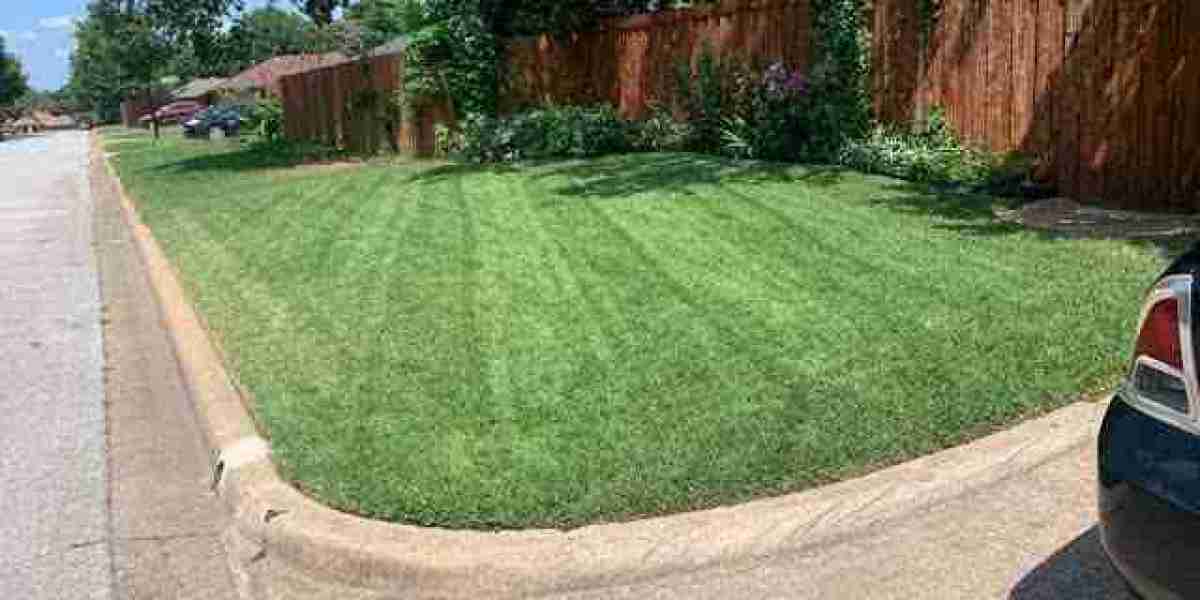 Landscaping Company Grapevine Professional Care for Beautiful Outdoor Spaces