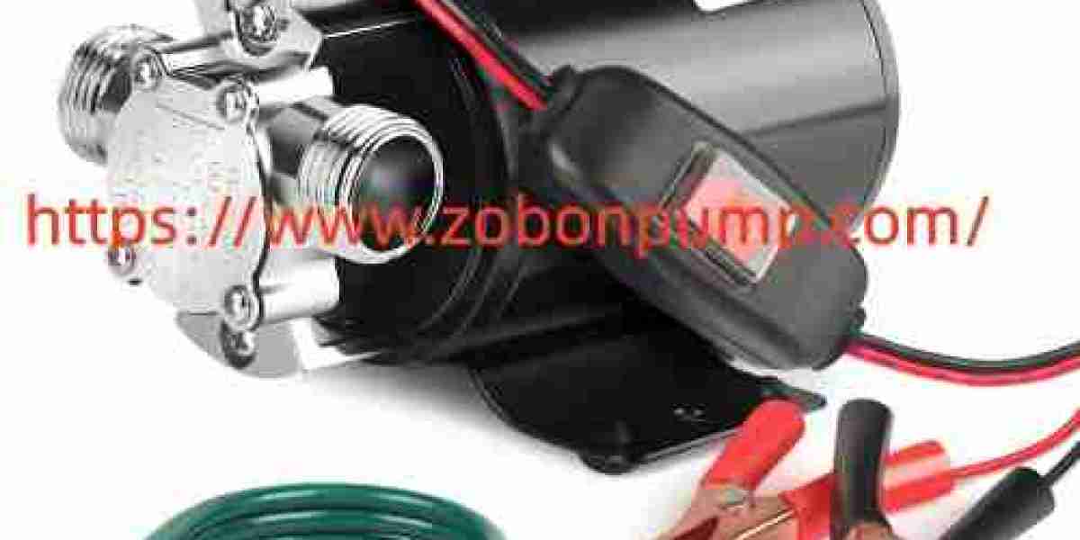 What Details Matter in Zobonpump Portable Water Pump and Electric Clean Water Pump Choice