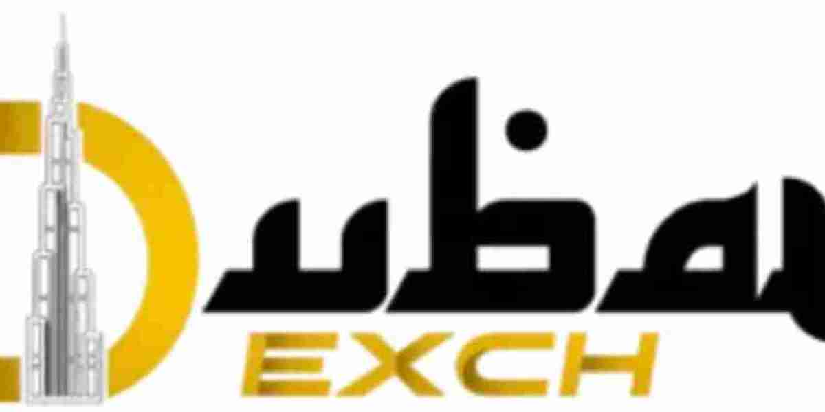 Dubaiexch247: A Simple Guide to Understanding the Platform