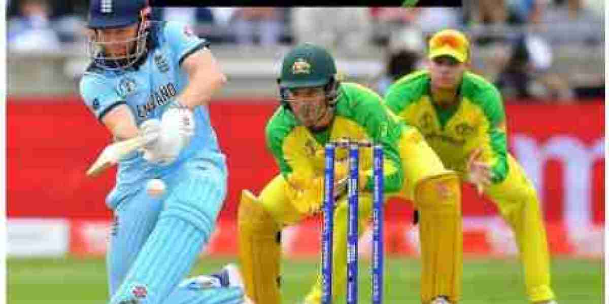 Matchbox9: Your Guide to Exploring the Online Cricket Platform
