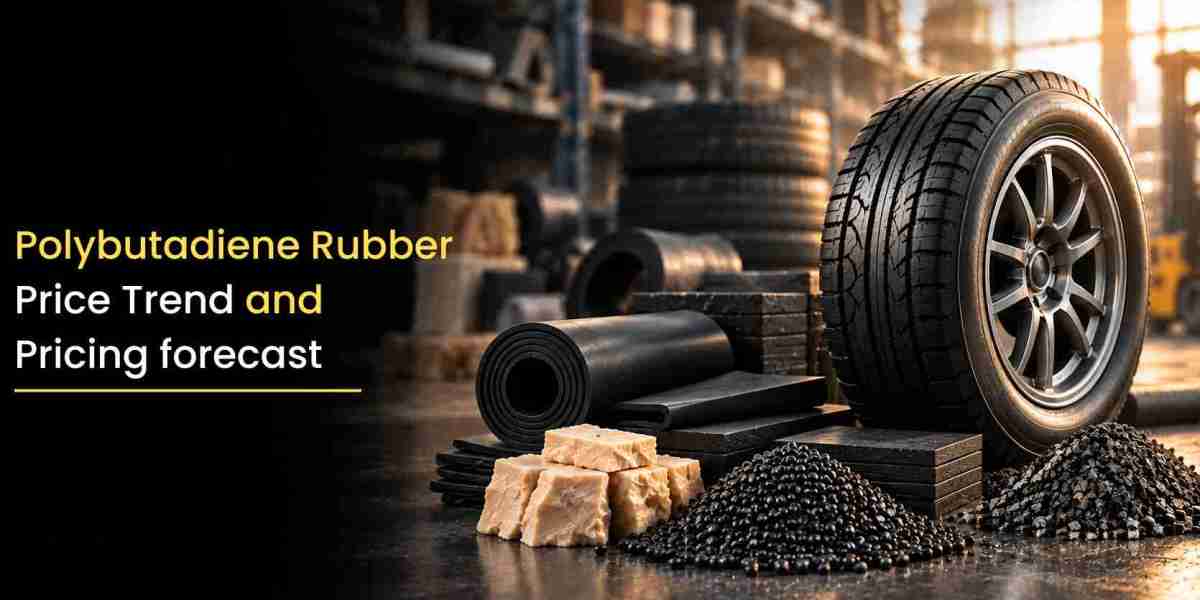 PBR Price Trends, Forecast, Chart, Prices and Index 2026