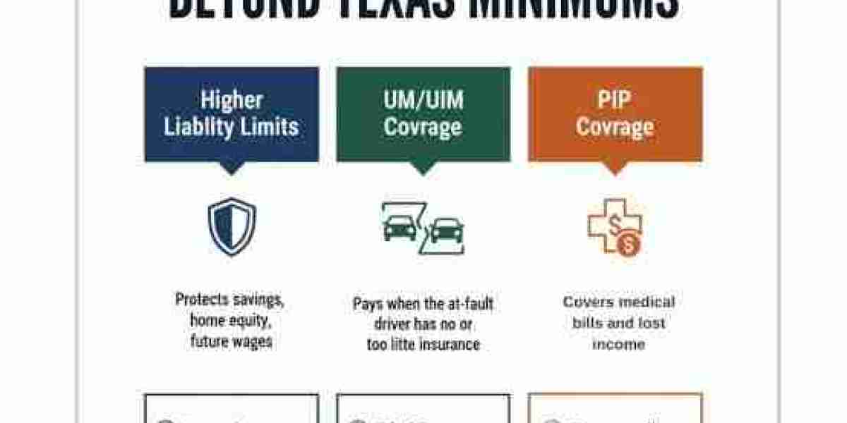 Car Insurance Options for Undocumented Drivers in Texas