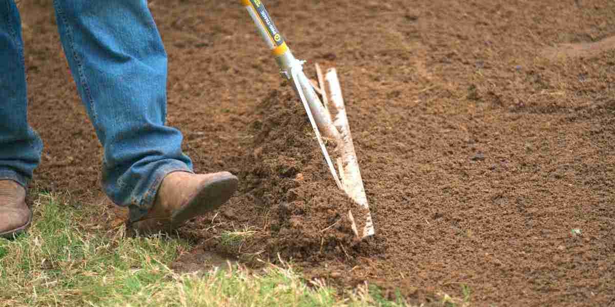 Upgrade Your Outdoor Living With Professional Sod and Artificial Grass Installation