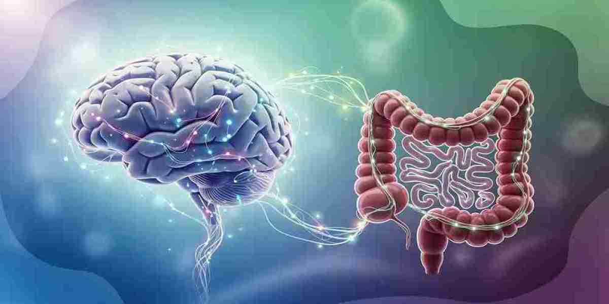 The Gut-Brain Connection: How Digestive Health Supports Everyday Energy