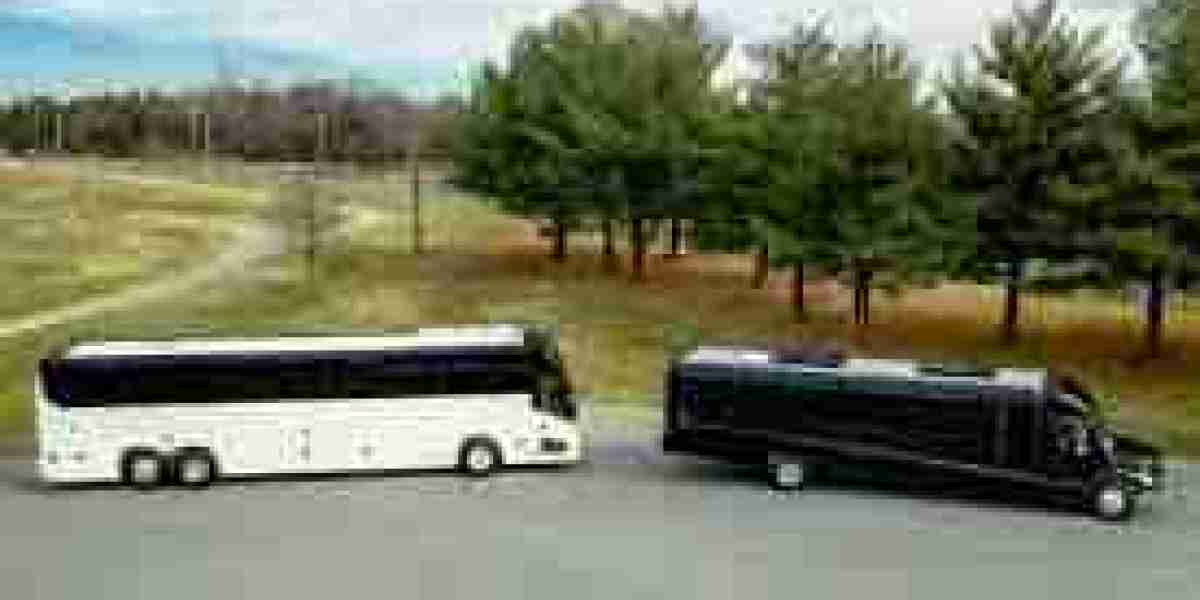 Bus Rental Toronto: How to Save Time When Organizing Transportation