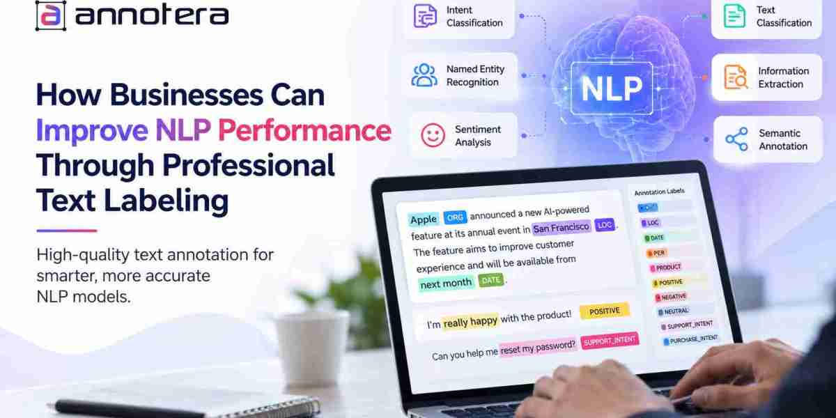 How Businesses Can Improve NLP Performance Through Professional Text Labeling