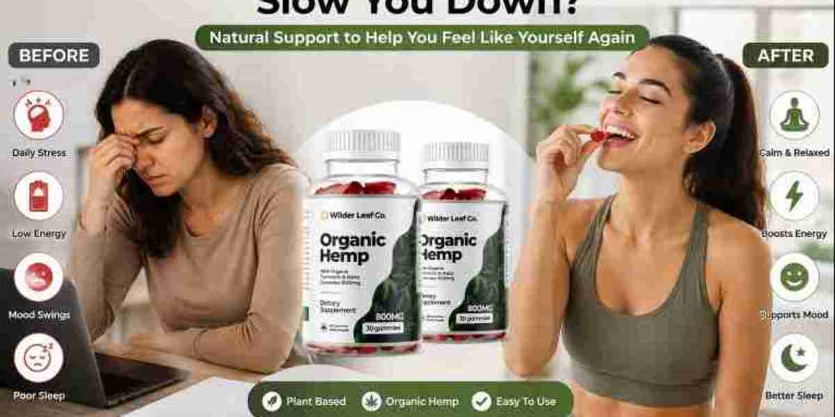 WilderLeaf Hemp Gummies Australia - Product Highlights, Ingredients, Use, Storage Tips, and FAQ