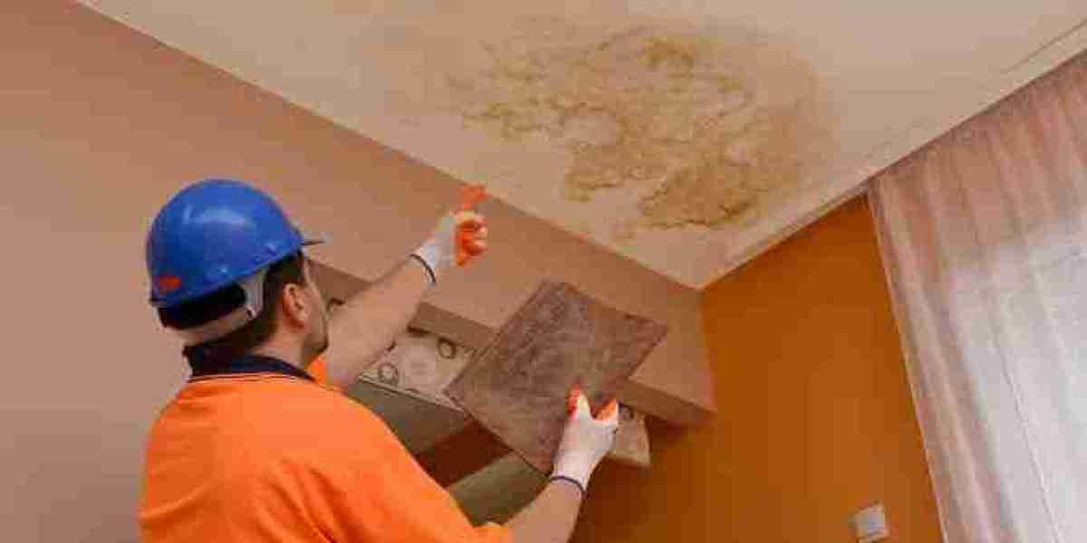 Choosing the Right Roofing Solution for Ontario Homes
