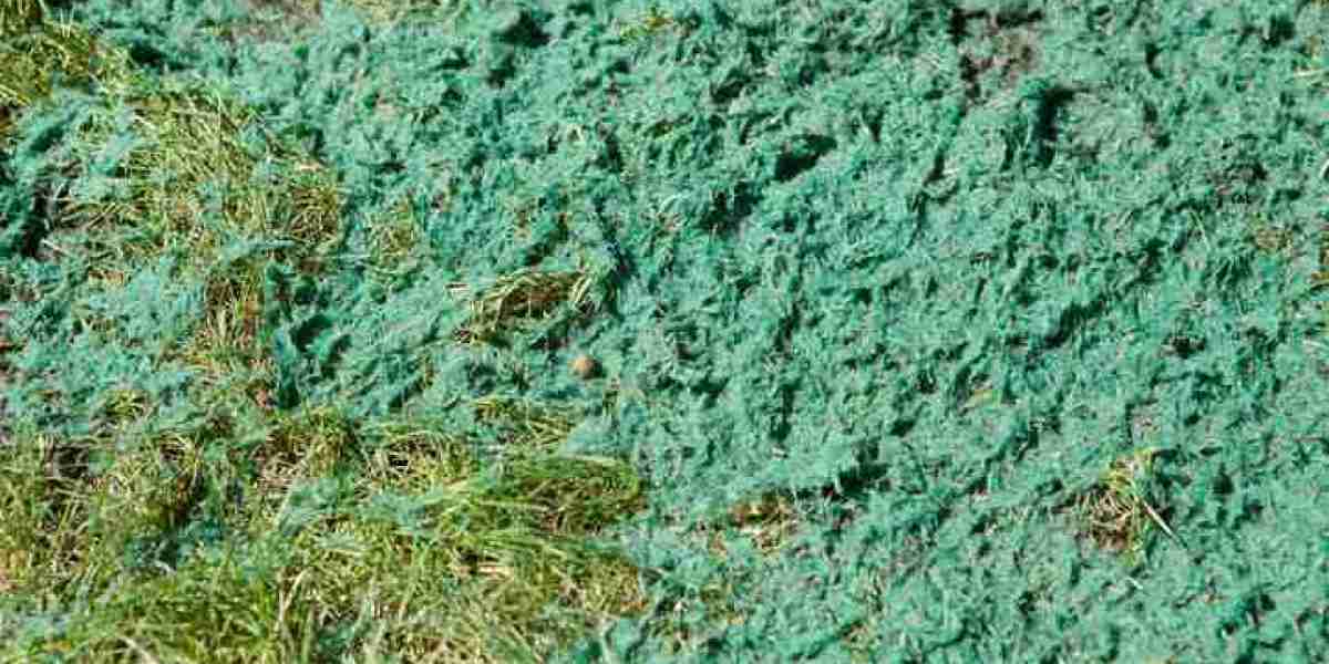 Hydromulch in North Texas: How This Erosion Control Method Works